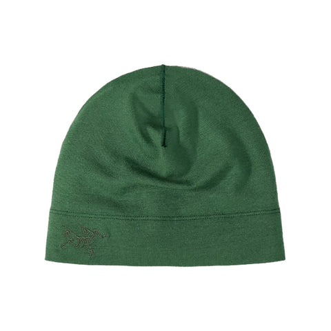 Arcteryx Rho Lightweight Wool Toque - Eden