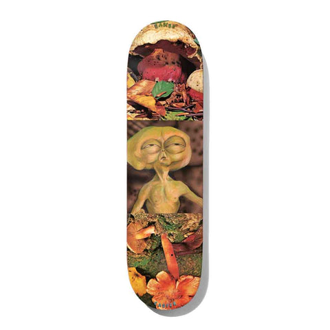 Baker Casper Brooker Block Busters 8.25" Deck