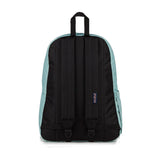 JanSport Superbreak Plus Backpack - Faded Sage Back