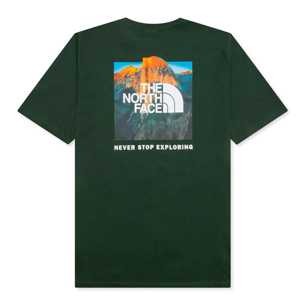 The North Face Box NSE Tee - Pine Needle Green Back