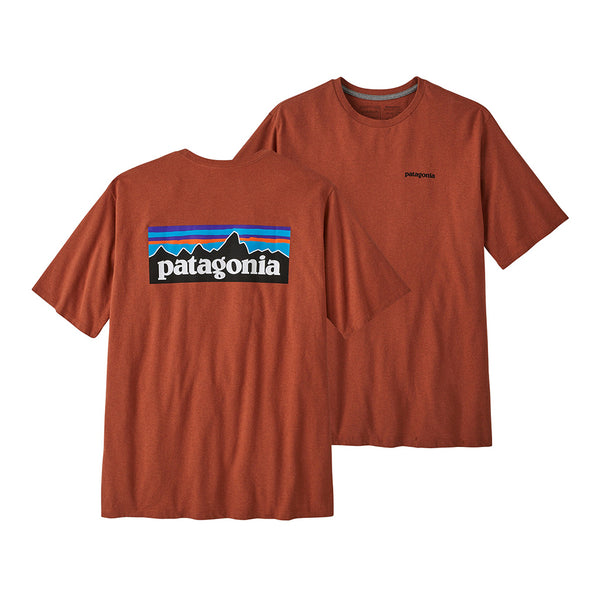 Patagonia P-6 Logo Responsibili Tee - QZCO (Back / Front)