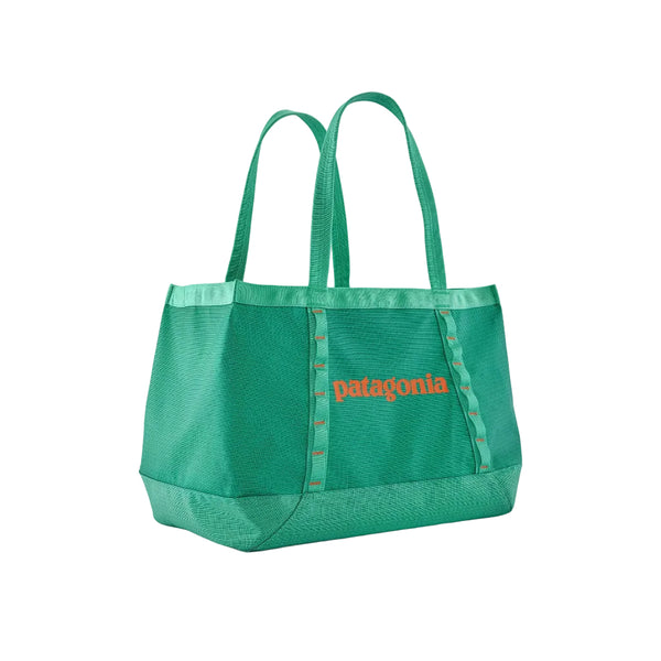 Patagonia Black Hole Tote 25L - Aqua Stone (49032 AQST) Front