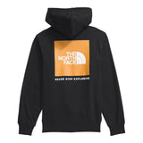The North Face Box NSE Pullover Hoodie - TNF Black/Summit Gold AGG (Back)