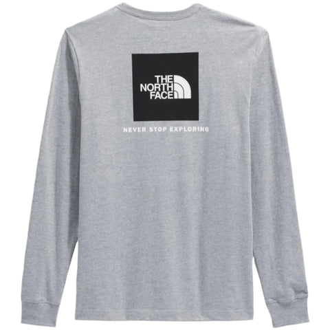 The North Face Evolution Box NSE L/S Tee - Pale Grey Q01 back