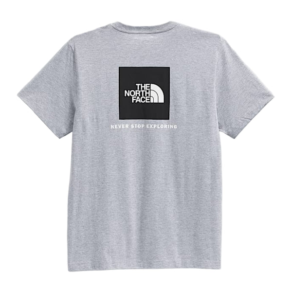 The North Face Evolution Box NSE S/S Tee - Pale Grey QO1 Back