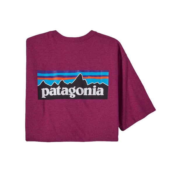 Patagonia P-6 Logo Responsibili Tee - STPI